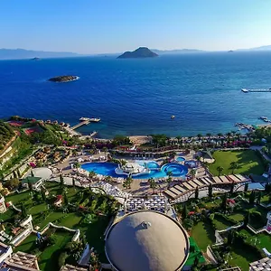book here